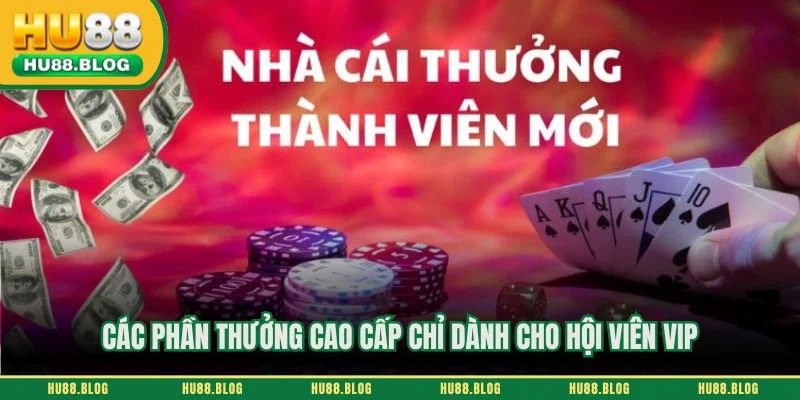 Các phần thưởng cao cấp chỉ dành cho hội viên VIP