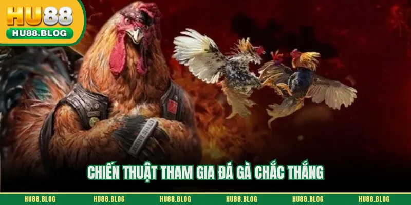 Chiến thuật tham gia đá gà chắc thắng
