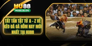 kèo đá gà hôm nay